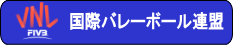 国際バレーボール協会